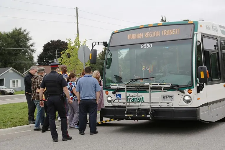 drt bus