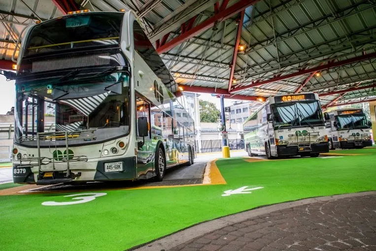 go transit bus