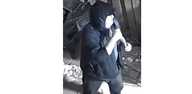 toronto voyeur