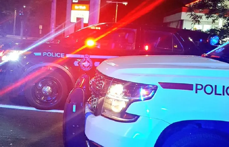 police cars night drug