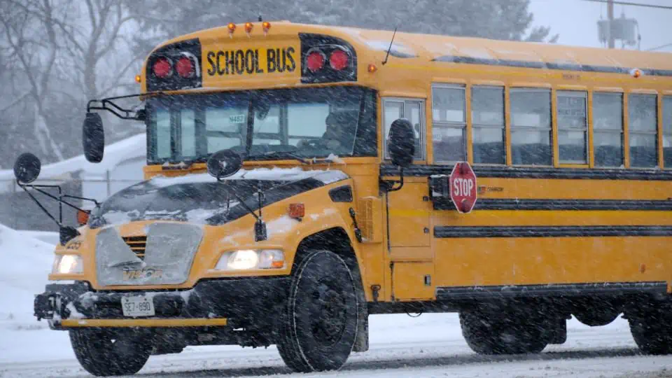 school bus winter 3sized