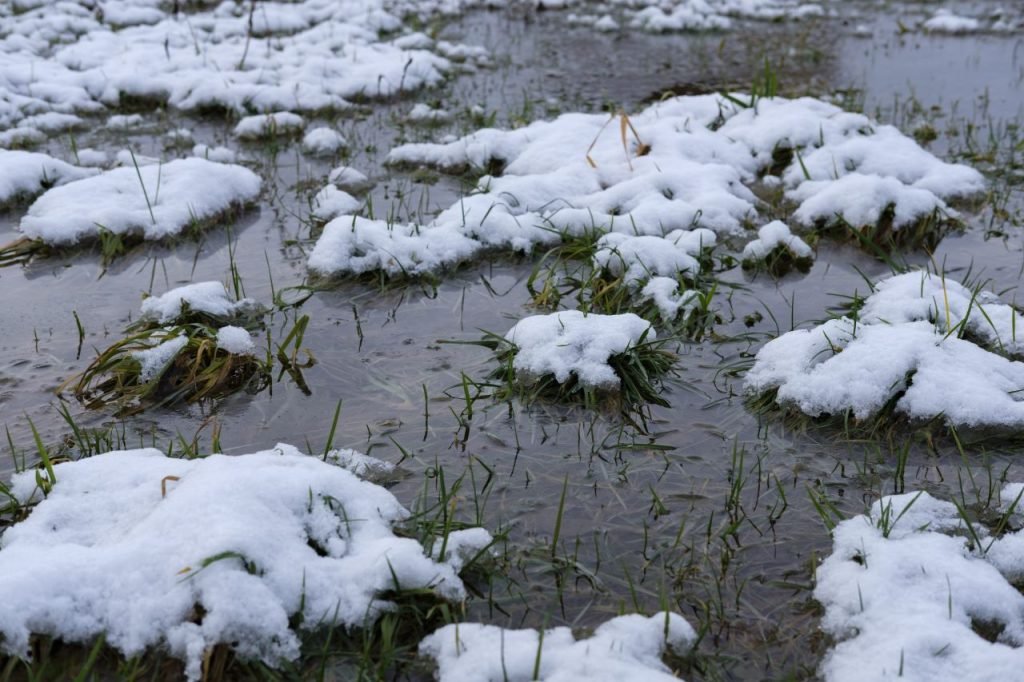 snowmelt 1024x682