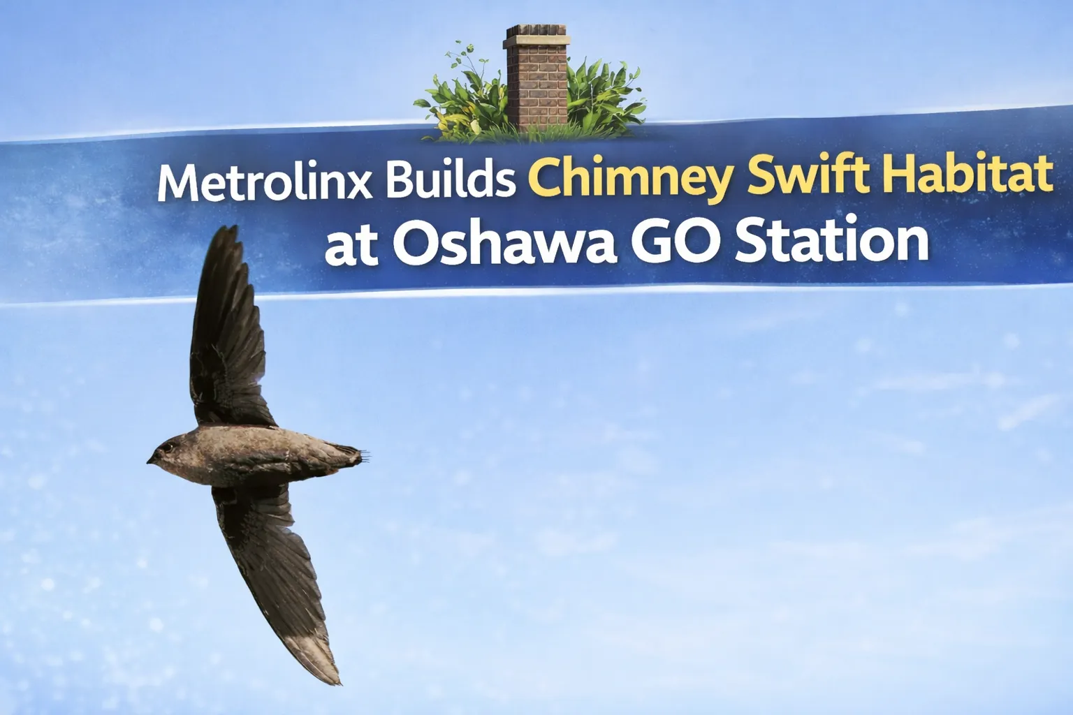 metrolinx builds chimney swift habitat at oshawa go station