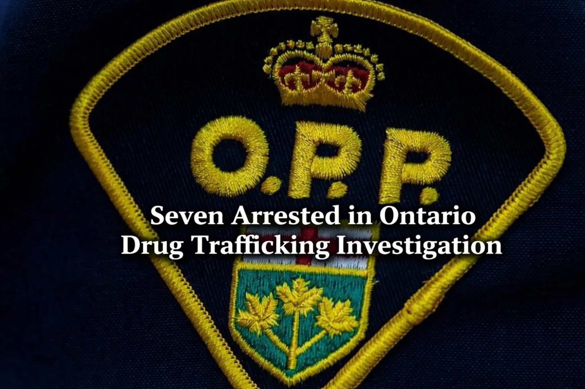 seven arrested in ontario drug trafficking investigation
