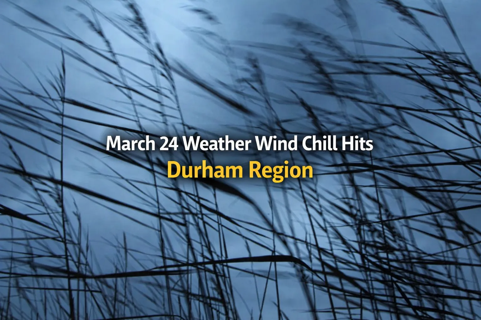 march 24 weather wind chill hits durham region