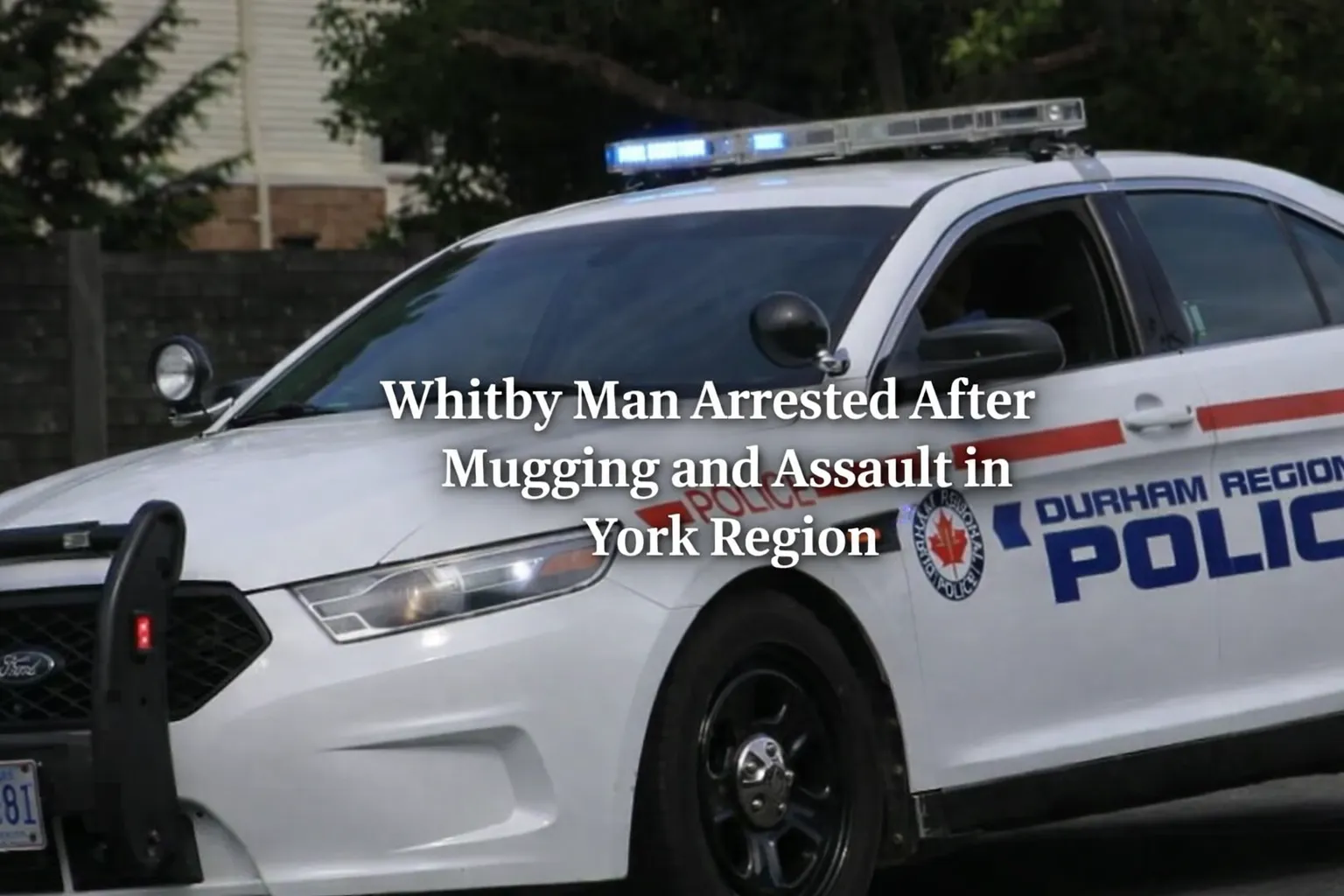 whitby man arrested after mugging and assault in york region