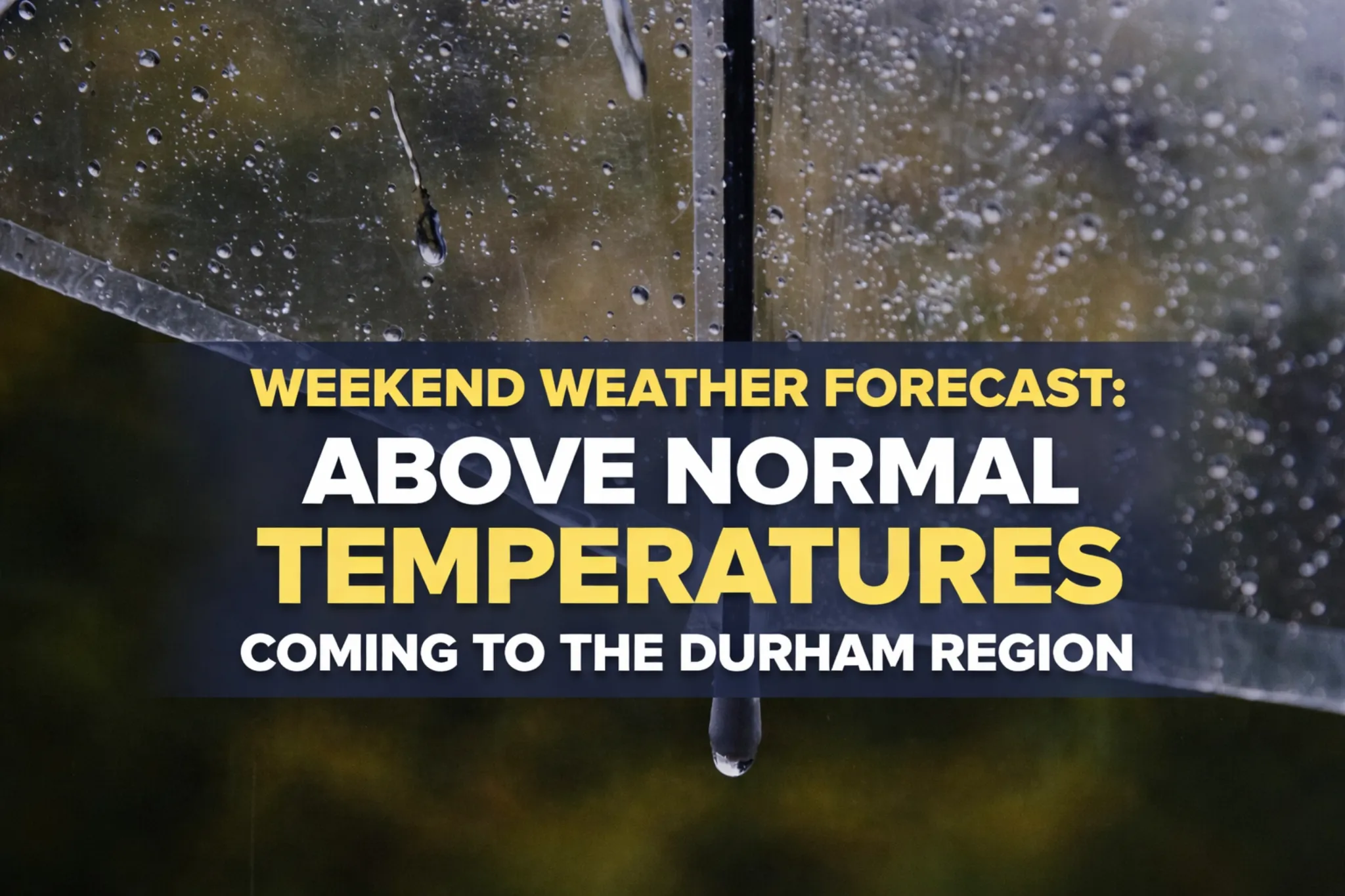 weekend weather forecast