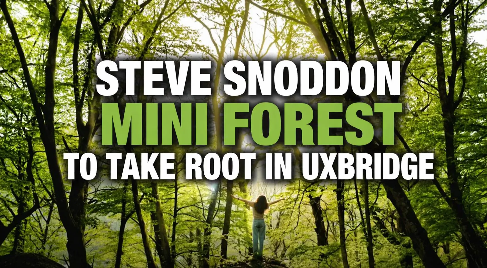 mini forest