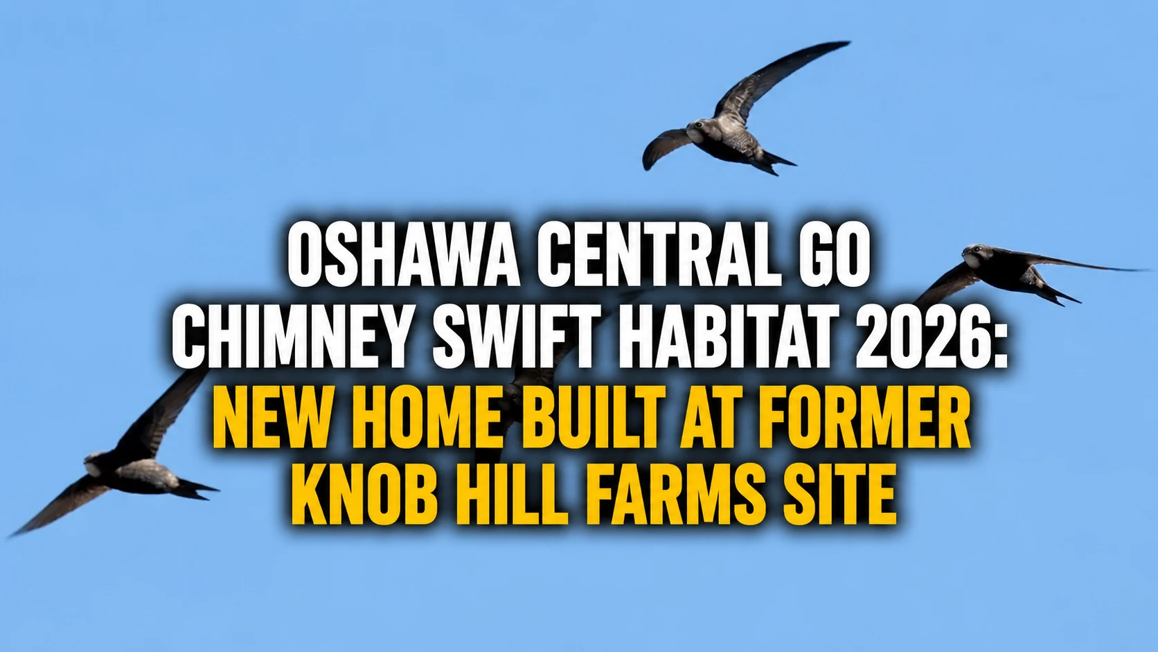 knob hill farms site