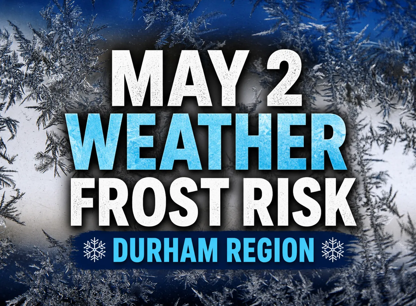 may 2 weather frost risk durham region