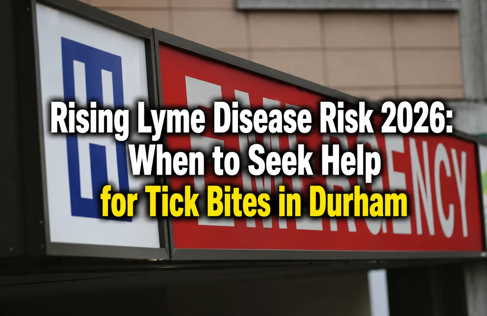 lyme tick diseace