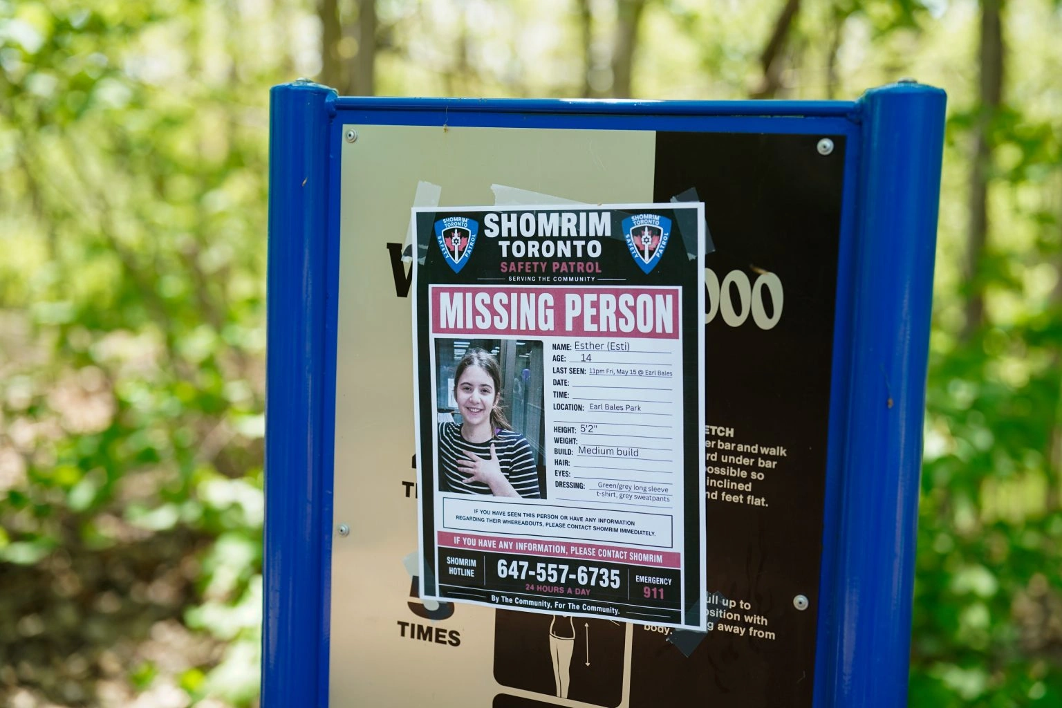 missing person