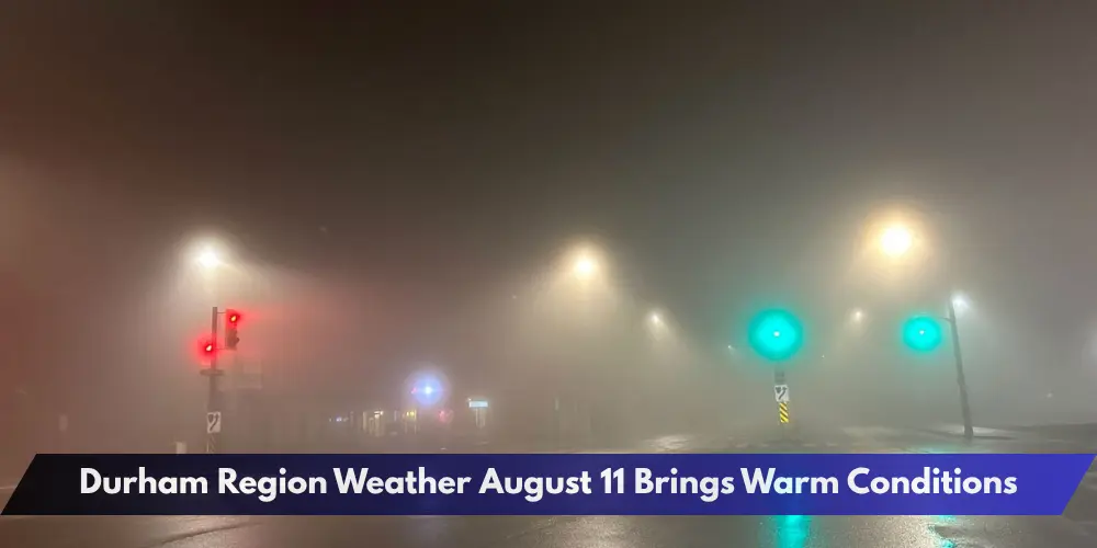 Durham Region Weather August 11 Brings Warm Conditions