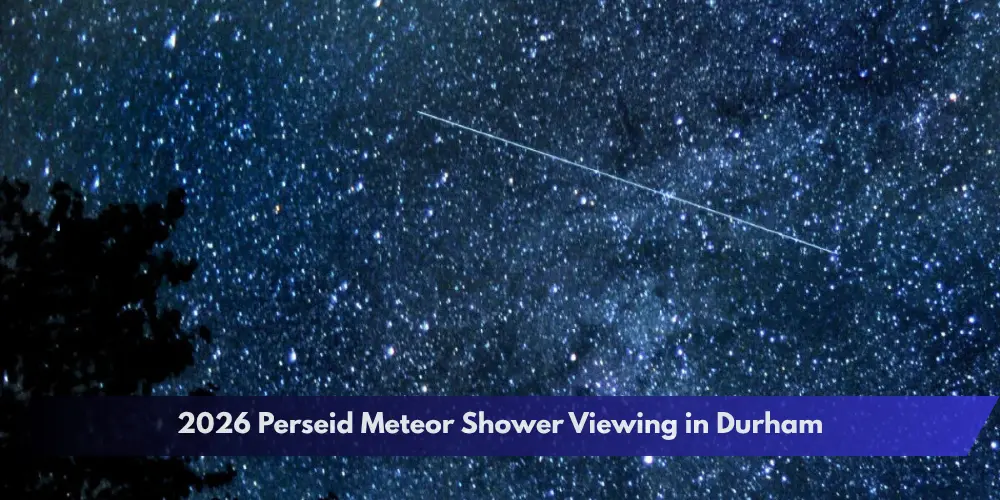 2026 Perseid Meteor Shower Viewing in Durham