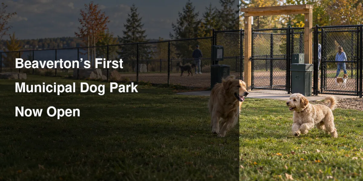 Fenced off-leash areas and dogs illustrating the new Beaverton dog park