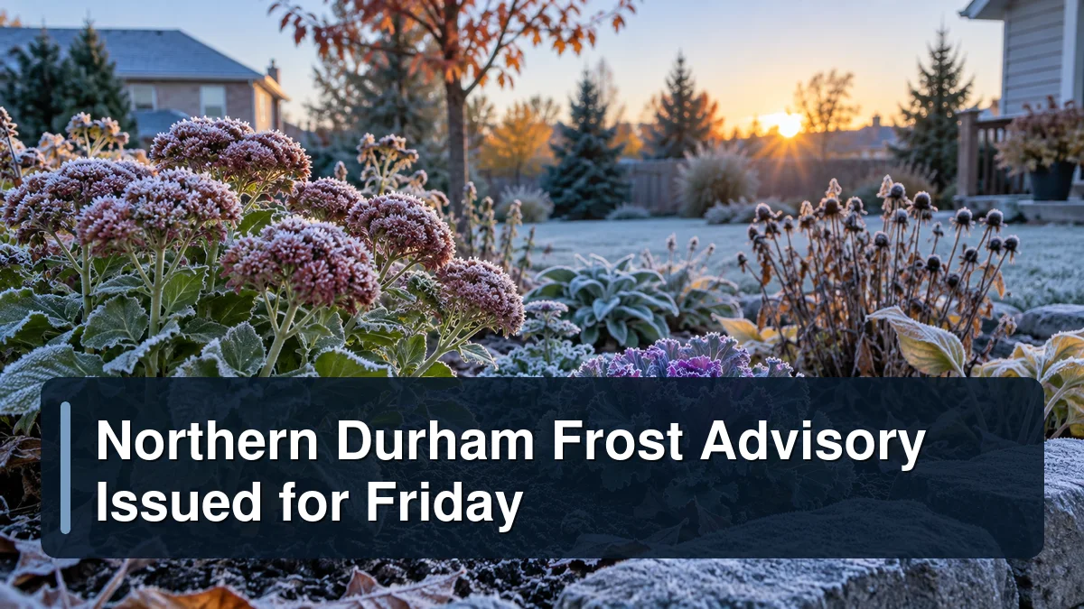 Frost-covered garden with the headline Northern Durham Frost Advisory Issued for Friday