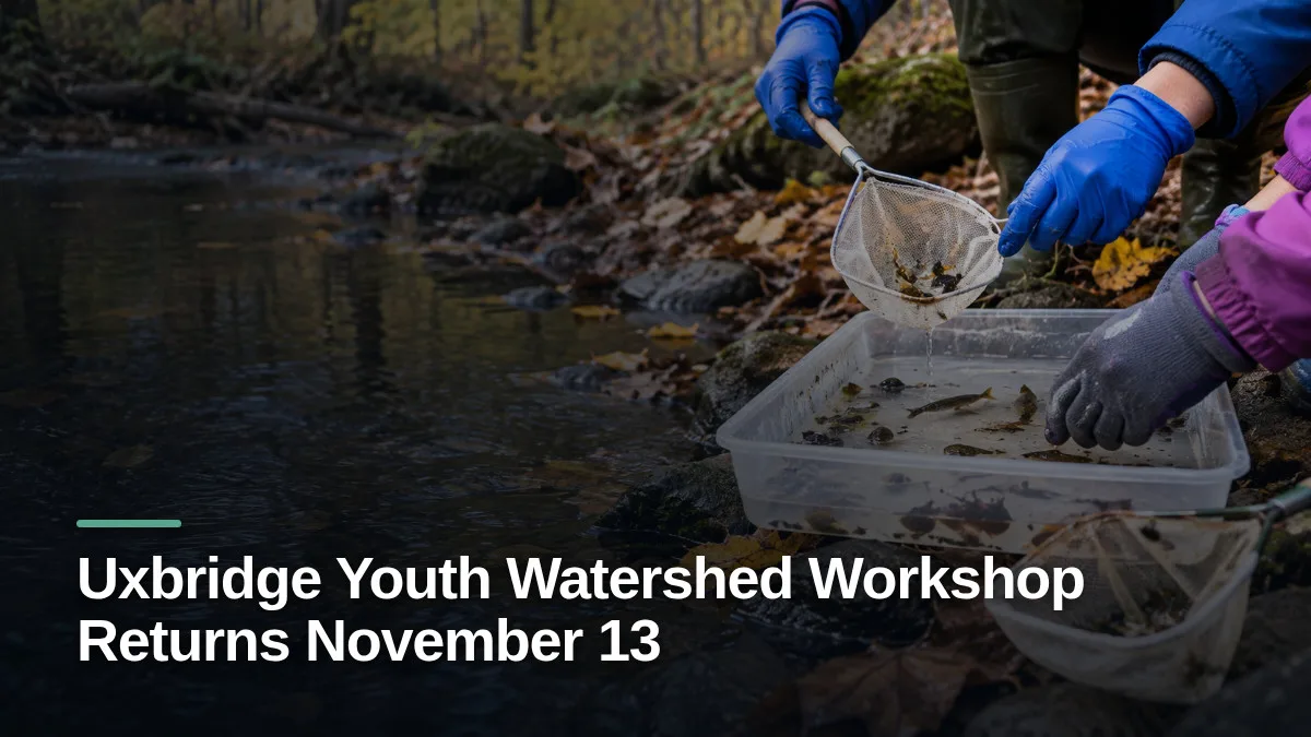 Original editorial featured image for: Uxbridge Youth Watershed Workshop Returns November 13