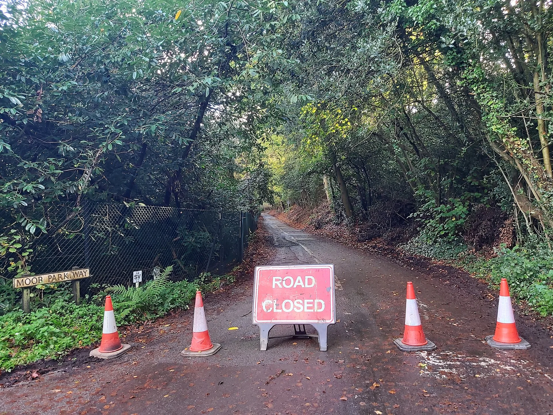 File photo: A red ROAD CLOSED sign with orange traffic cones blocking a tree-lined road at Moor Park Way in Farnham, Surrey, England. Representative image; does not show Bowmanville.