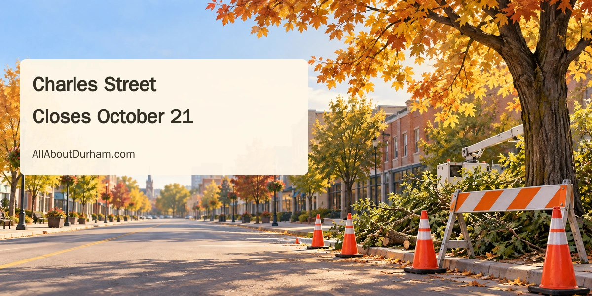 Original conceptual editorial illustration of autumn trees and a road barrier on a generic Ontario street; not a photograph of the Charles Street work.